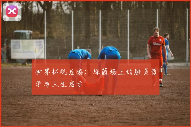 世界杯观后感:绿茵场上的胜负哲学与人生启示