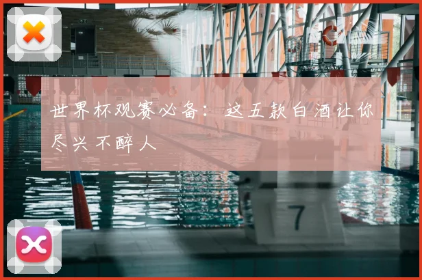 世界杯观赛必备：这五款白酒让你尽兴不醉人
