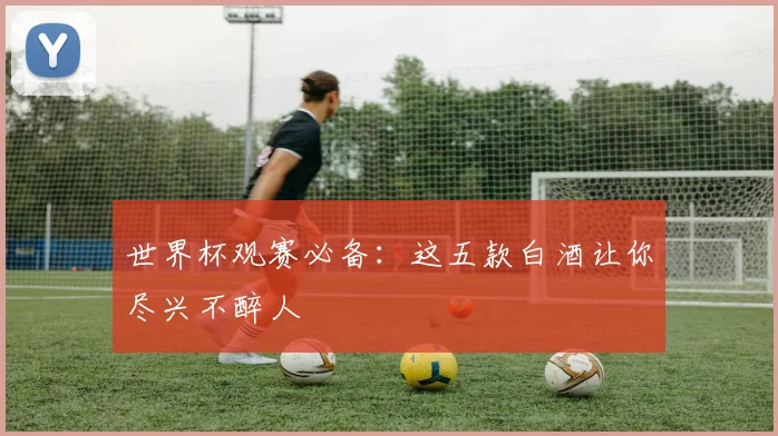 世界杯观赛必备：这五款白酒让你尽兴不醉人