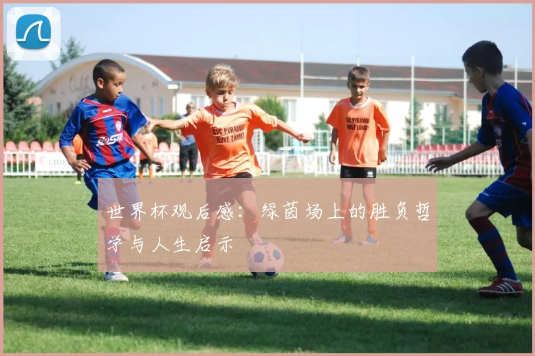 世界杯观后感:绿茵场上的胜负哲学与人生启示