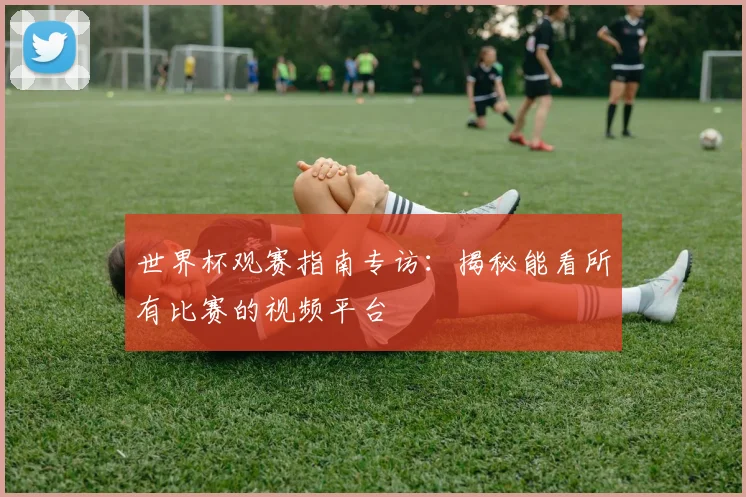 世界杯观赛指南专访：揭秘能看所有比赛的视频平台