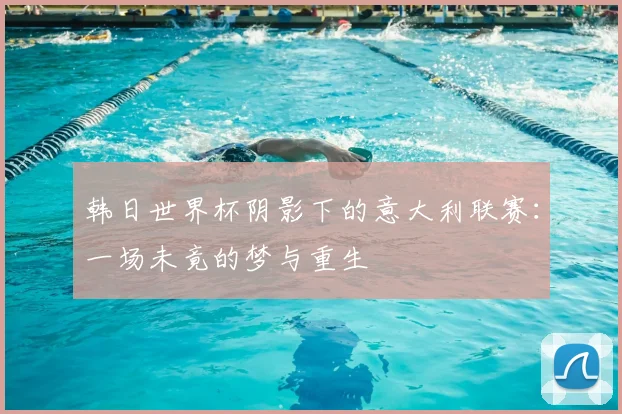 韩日世界杯阴影下的意大利联赛：一场未竟的梦与重生