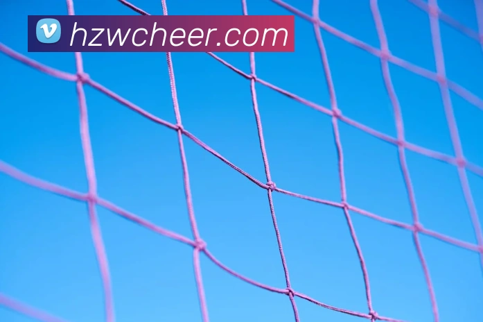 pg国际网站APP 封面图